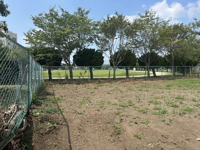 Land for Sale in Mobara City, Chiba Prefecture - Thumbnail 3