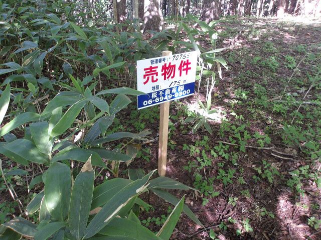 Land for Sale in Minami-ku, Sapporo, Hokkaido - Thumbnail 3