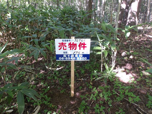 Land for Sale in Minami-ku, Sapporo, Hokkaido - Thumbnail 2