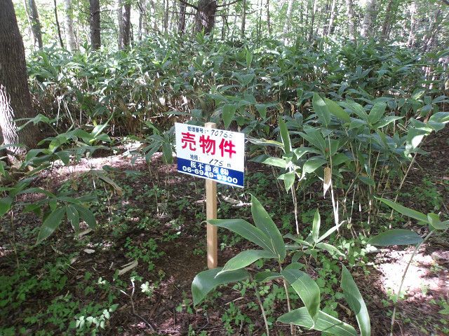 Land for Sale in Minami-ku, Sapporo, Hokkaido - Thumbnail 4