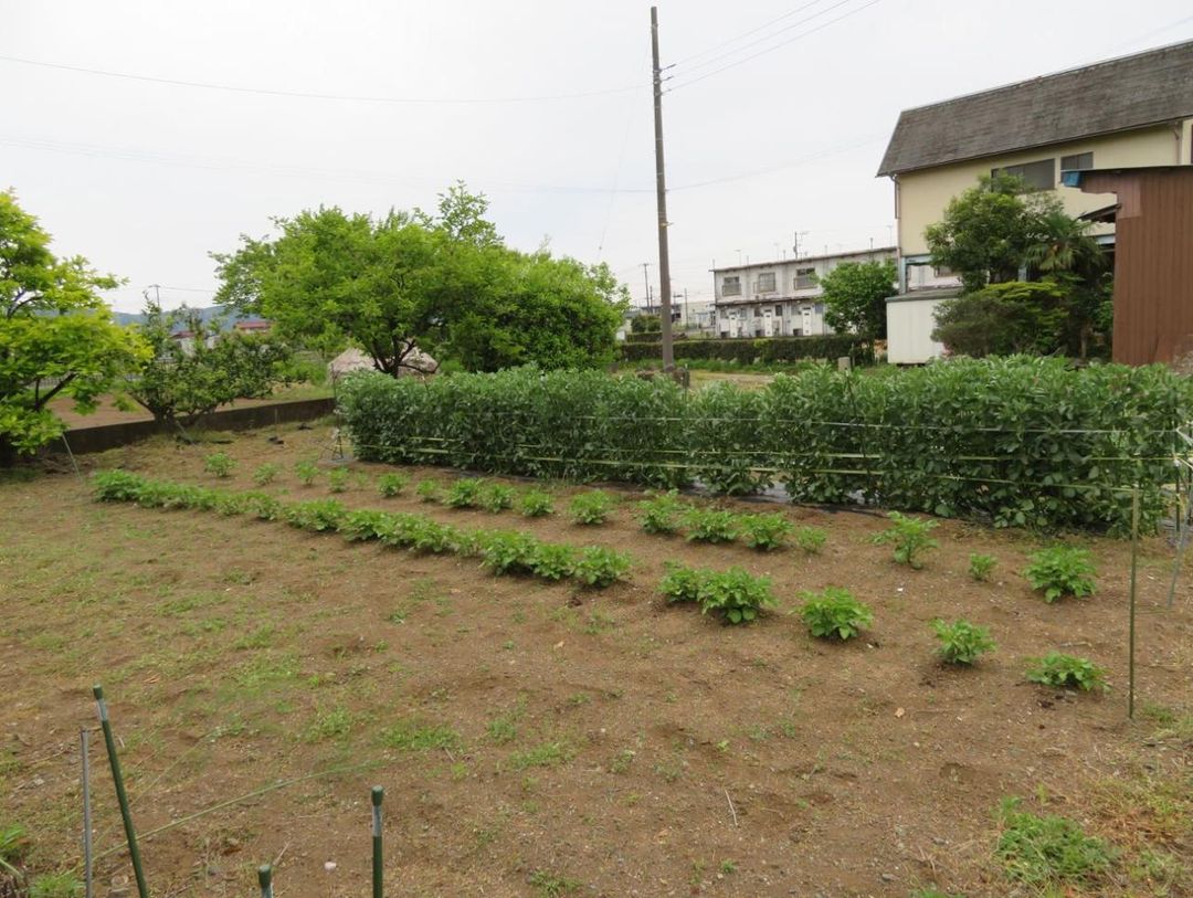 297.53 sqm Land for Sale in Odawara, Kanagawa | Corner Lot - Thumbnail 4