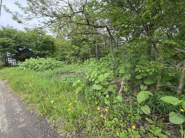 Land for Sale in Minami-ku, Sapporo, Hokkaido - 231 sqm - Thumbnail 2