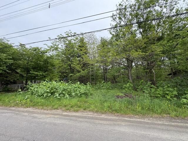 Land for Sale in Minami-ku, Sapporo, Hokkaido - 231 sqm - Thumbnail 4