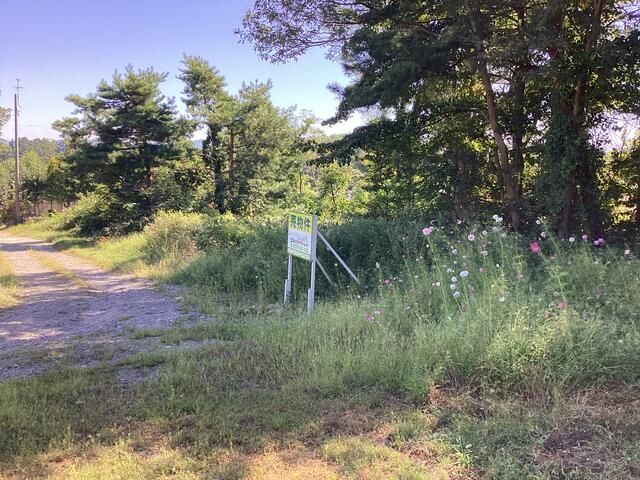 339 sqm Residential Land for Sale in Aomori City, Aomori - Thumbnail 2