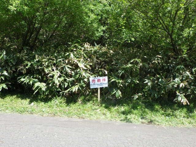 247 sqm Vacant Land for Sale in Muroran, Hokkaido - Thumbnail 3