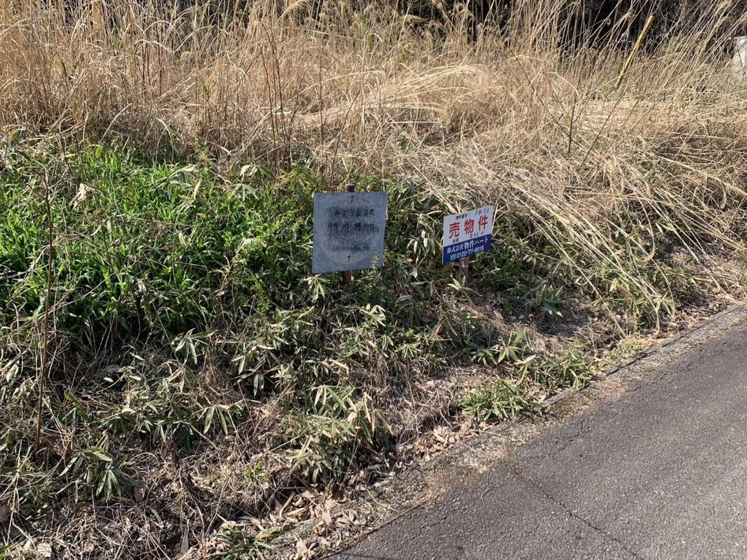 Land for Sale in Nikko City, Tochigi - 231 sqm - Thumbnail 3