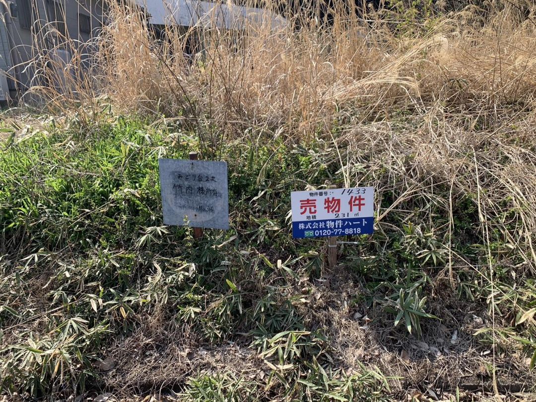 Land for Sale in Nikko City, Tochigi - 231 sqm - Thumbnail 2