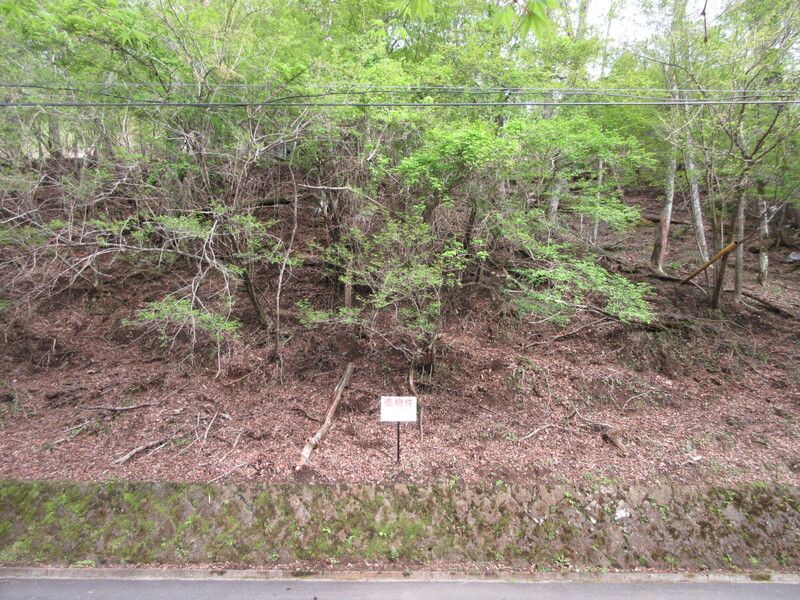 Land for Sale in Yamanakako Village near Mount Fuji - Thumbnail 3