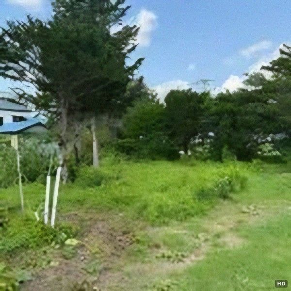 Land for Sale in Teshikaga, Hokkaido - Near Mashu Station - Thumbnail 4