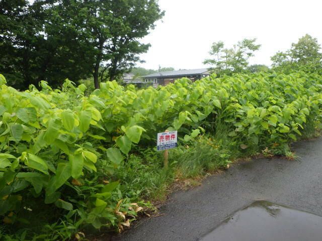 217.5 sqm Land Plot for Sale in Ishikari, Hokkaido - Thumbnail 3