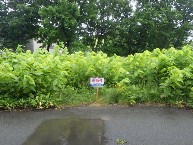 217.5 sqm Land Plot for Sale in Ishikari, Hokkaido - Thumbnail 2