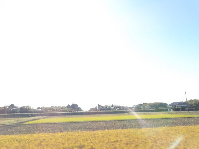 Land for Sale in Higashi, Chiba - 143 sqm Vacant Lot - Thumbnail 2
