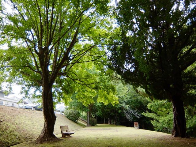 Land for Sale in Ichihara, Chiba - 178.87 sqm Vacant Lot - Thumbnail 4