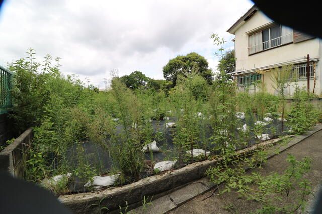 Land for Sale in Wakaba-ku, Chiba City - 140 sqm - Thumbnail 4