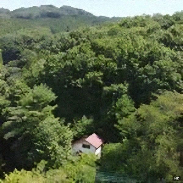 Compact Mountain Villa in Minano, Saitama - 300万円 - Thumbnail 3