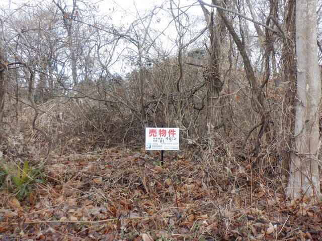 Land for Sale in Koga City, Ibaraki - 81 sqm - Thumbnail 2