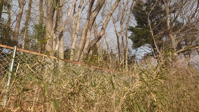 836 sqm Land for Sale in Taihaku-ku, Sendai, Miyagi - Thumbnail 3