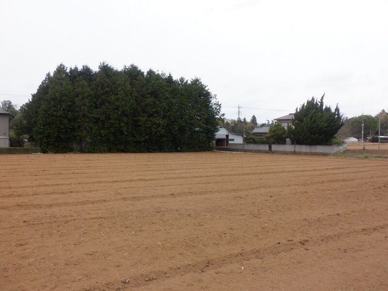Land for Sale in Hitachi, Ibaraki - 157 sqm - Thumbnail 2