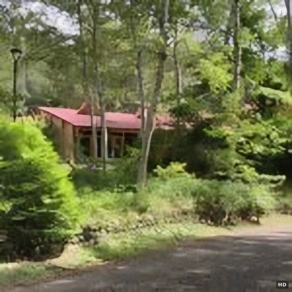 Forest Land for Sale in Fujimi Highlands, Nagano - 874 sqm - Image 1