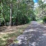 Forest Land for Sale in Fujimi Highlands, Nagano - 874 sqm - Thumbnail 2