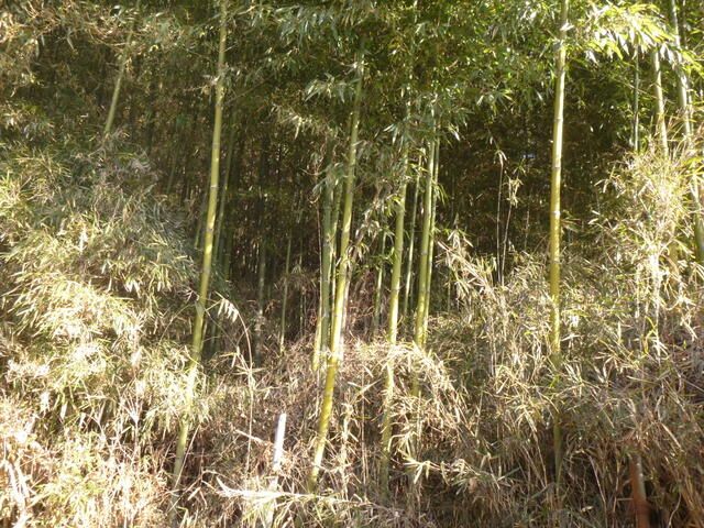 Land for Sale in Kashimadai, Osaki City, Miyagi Prefecture - Thumbnail 4