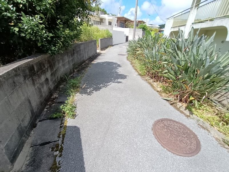 88-Tsubo Residential Land for Sale in Nanjo City, Okinawa - Thumbnail 4