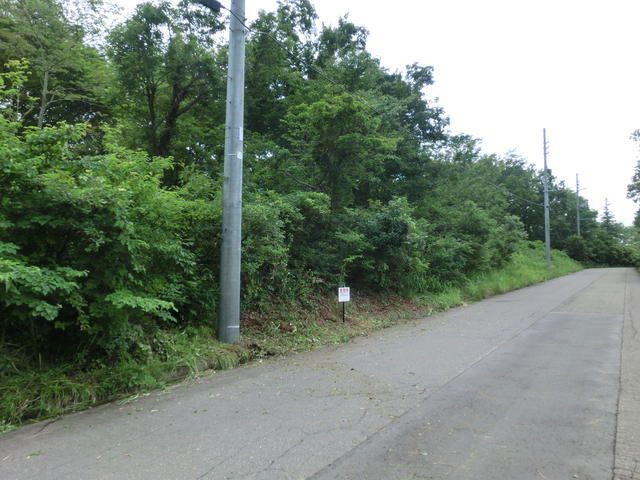 600 sqm Land for Sale in Myoko City, Niigata - Thumbnail 3