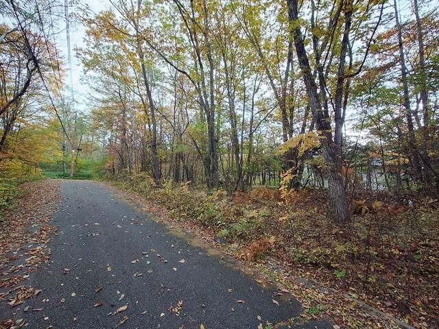 Land for Sale in Kiyosato, Hokuto City, Yamanashi - Thumbnail 3