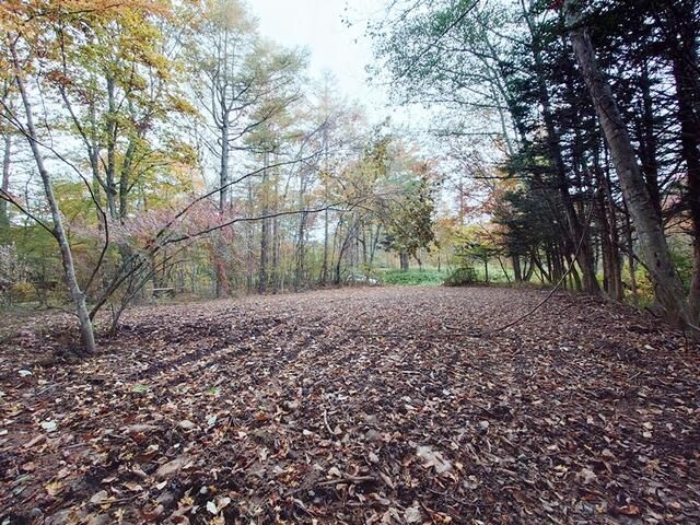 Land for Sale in Kiyosato, Hokuto City, Yamanashi - Thumbnail 2