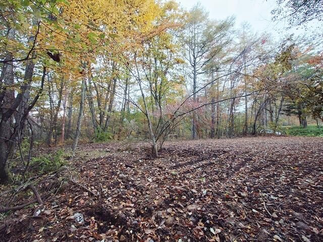 Land for Sale in Kiyosato, Hokuto City, Yamanashi - Thumbnail 4