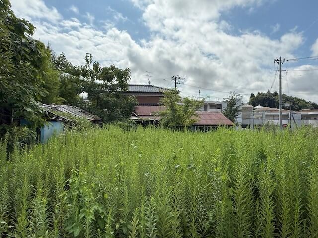 Land for Sale in Shiogama, Miyagi - 963.88 sqm Corner Lot - Thumbnail 3