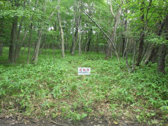 330 sqm Vacant Land for Sale in Tomakomai, Hokkaido - Thumbnail 3