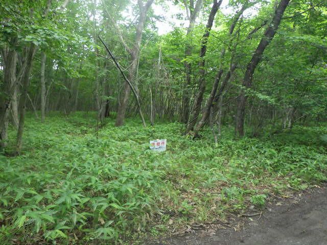 330 sqm Vacant Land for Sale in Tomakomai, Hokkaido - Thumbnail 2