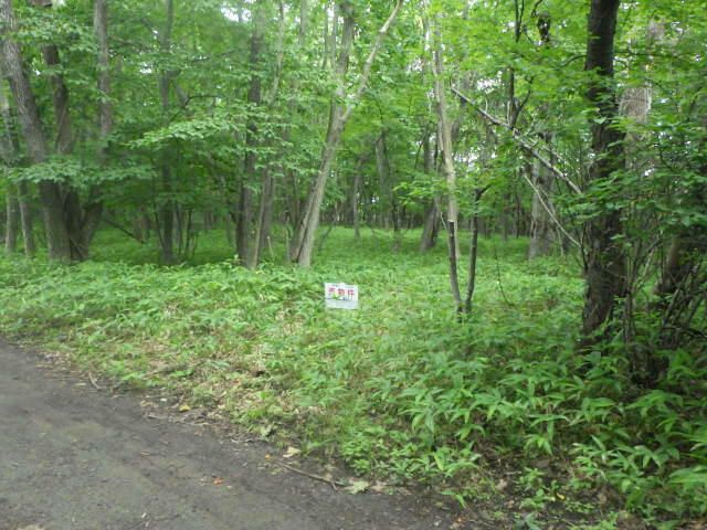 330 sqm Vacant Land for Sale in Tomakomai, Hokkaido - Thumbnail 4