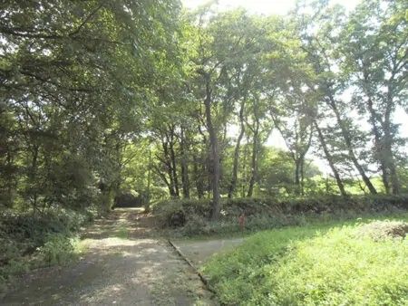 200-Tsubo Flat Land for Sale in Nasu, Tochigi - Countryside Living - Thumbnail 2