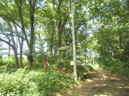 200-Tsubo Flat Land for Sale in Nasu, Tochigi - Countryside Living - Thumbnail 4
