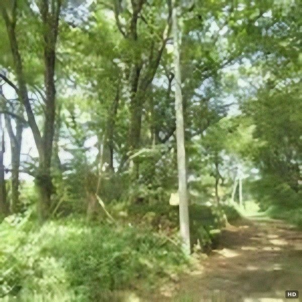 200-Tsubo Flat Land for Sale in Nasu, Tochigi - Countryside Living - Thumbnail 3