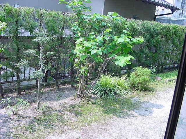 2020 Built 4LDK House in Hiroshima Saeki Ward with 187㎡ Land - Image 11