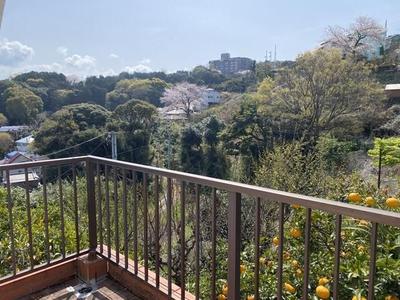 2LDK House with Separate Studio on 559sqm Land in Manazuru — Image 7, Manazuru, Kanagawa