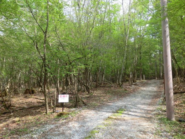 992 sqm Land for Sale in Yamanakako Village near Mount Fuji - Thumbnail 2