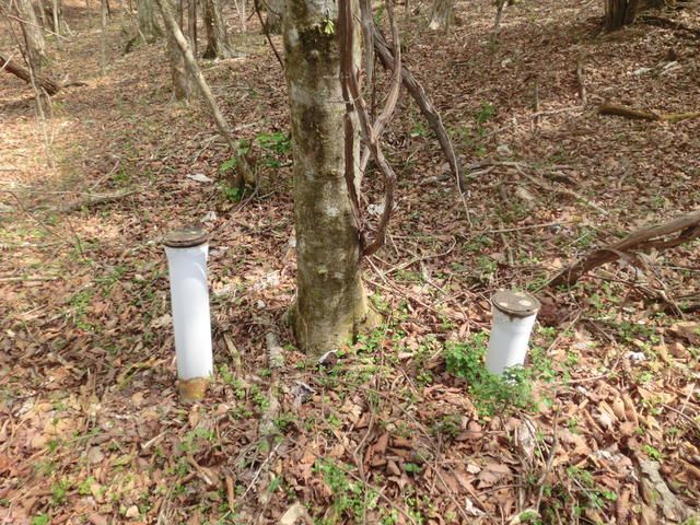 992 sqm Land for Sale in Yamanakako Village near Mount Fuji - Thumbnail 4