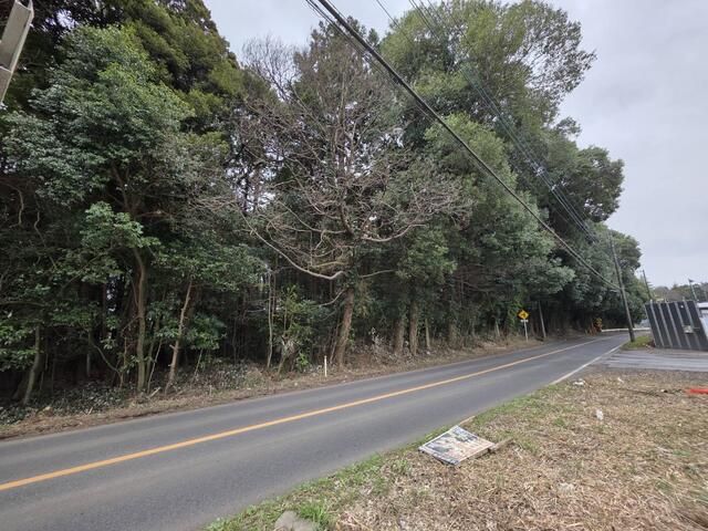 Land for Sale in Kashiwa, Chiba – 6497 sqm - Thumbnail 3