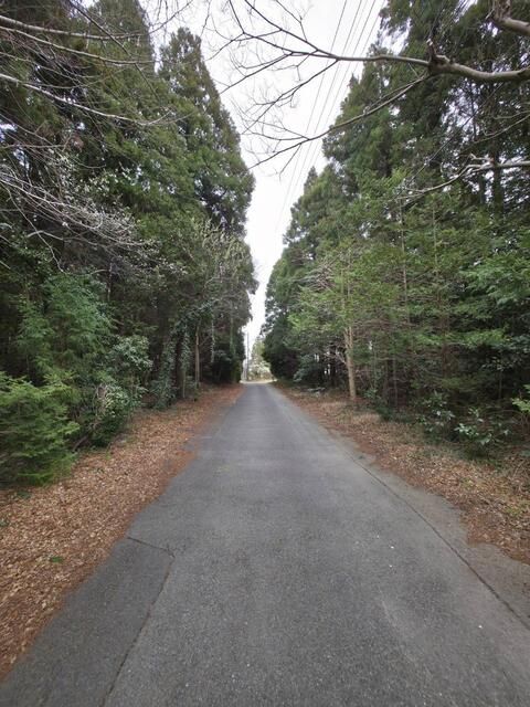 Land for Sale in Kashiwa, Chiba – 6497 sqm - Thumbnail 2