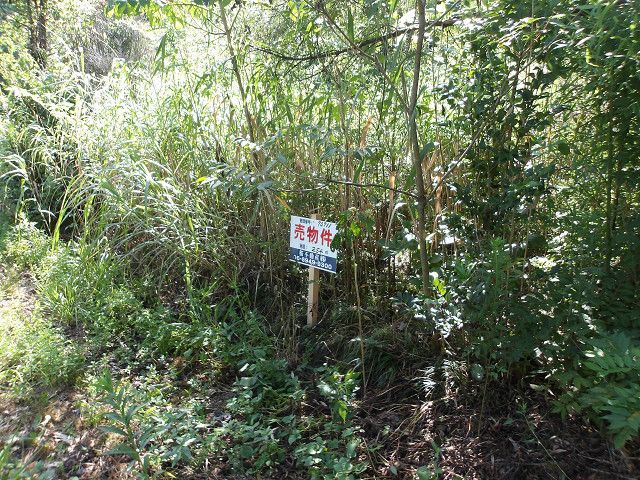 Land for Sale in Agano City, Niigata - Thumbnail 2