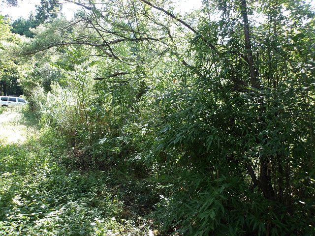Land for Sale in Agano City, Niigata - Image 1