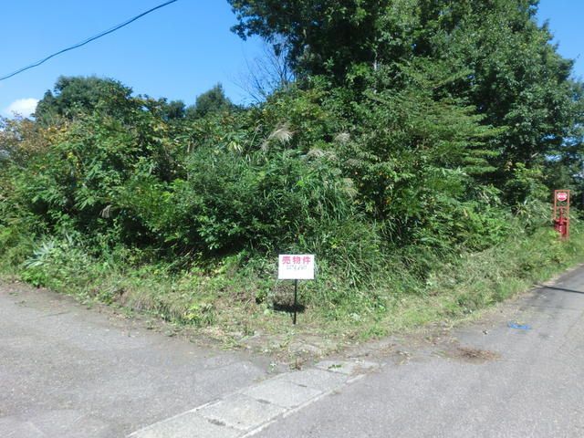 Land for Sale in Myoko City, Niigata - 597 sqm - Thumbnail 4