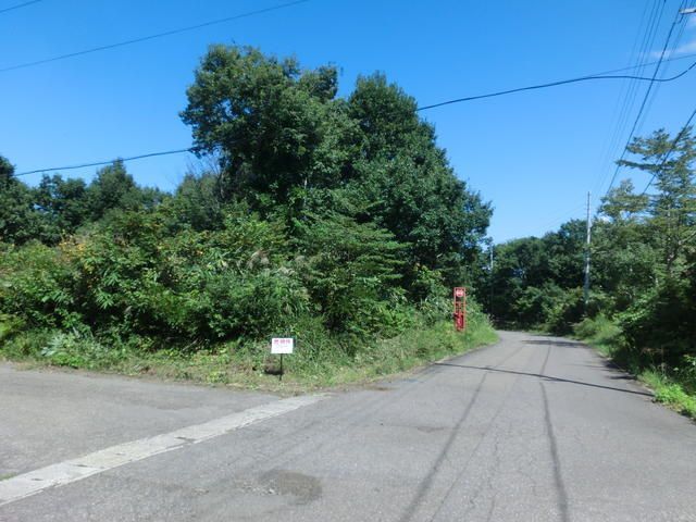 Land for Sale in Myoko City, Niigata - 597 sqm - Thumbnail 2