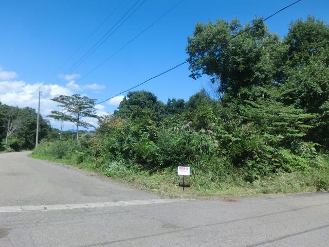 Land for Sale in Myoko City, Niigata - 597 sqm - Thumbnail 3