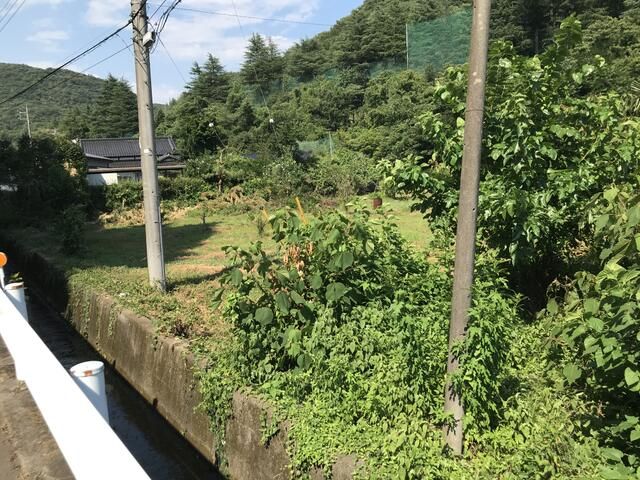 Land for Sale in Kiryu, Gunma - 1609 sqm - Thumbnail 3