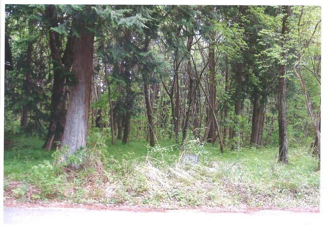 Residential Land for Sale in Nikko, Tochigi - 387 sqm Plot - Thumbnail 2